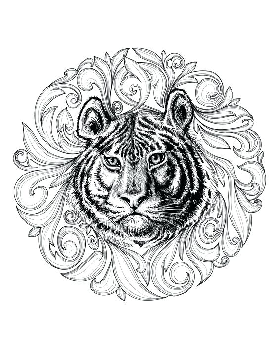 Lion Mandala Coloring Sheets Pages Marvelous Color Sheet Image 564x706 Lion Mandala Coloring Sheets Pages Marvelous Color Sheet Image