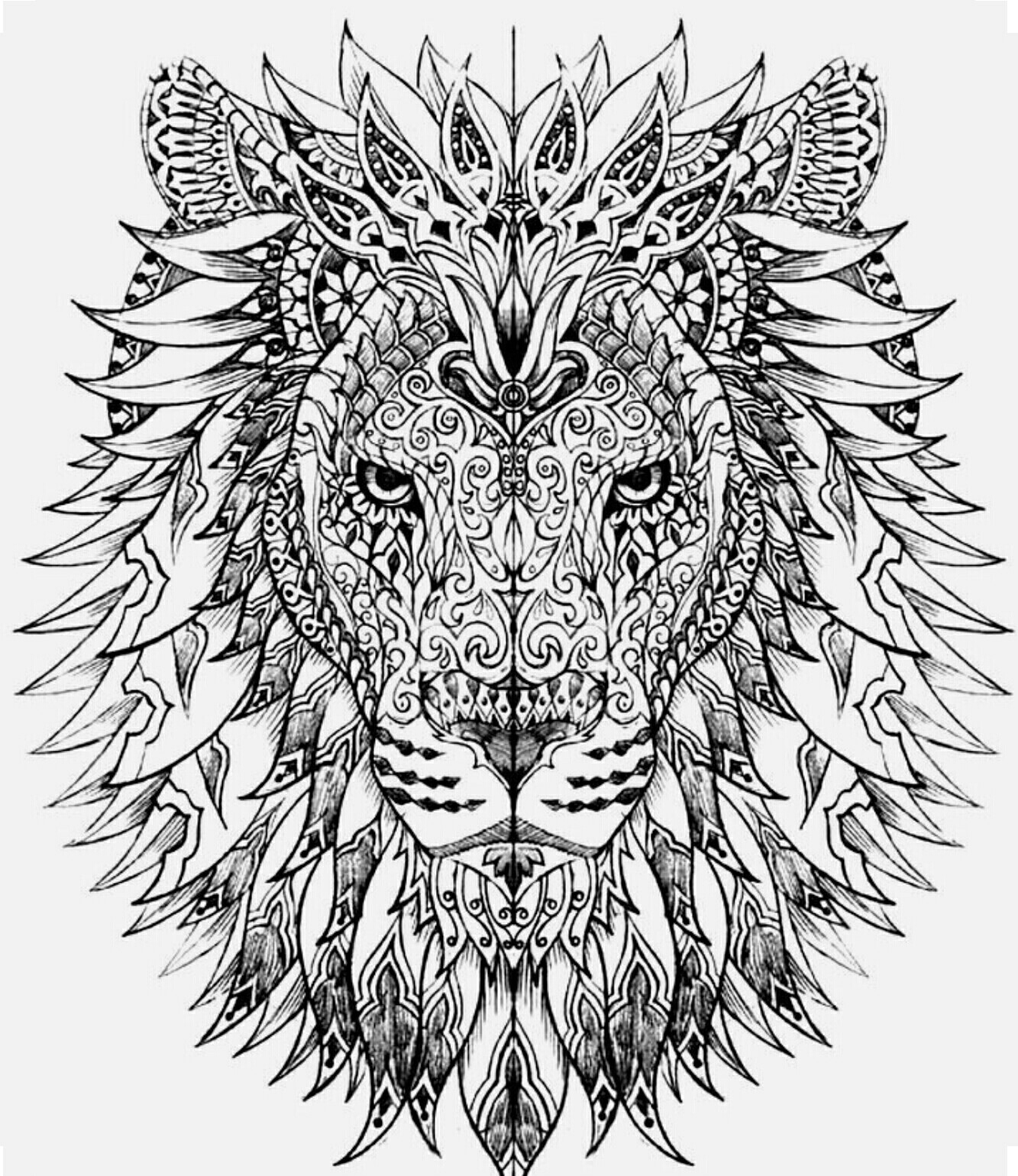 Lion Color Page Coloring Book Pages Lions 1333x1540 Lion Color Page Coloring Book Pages Lions