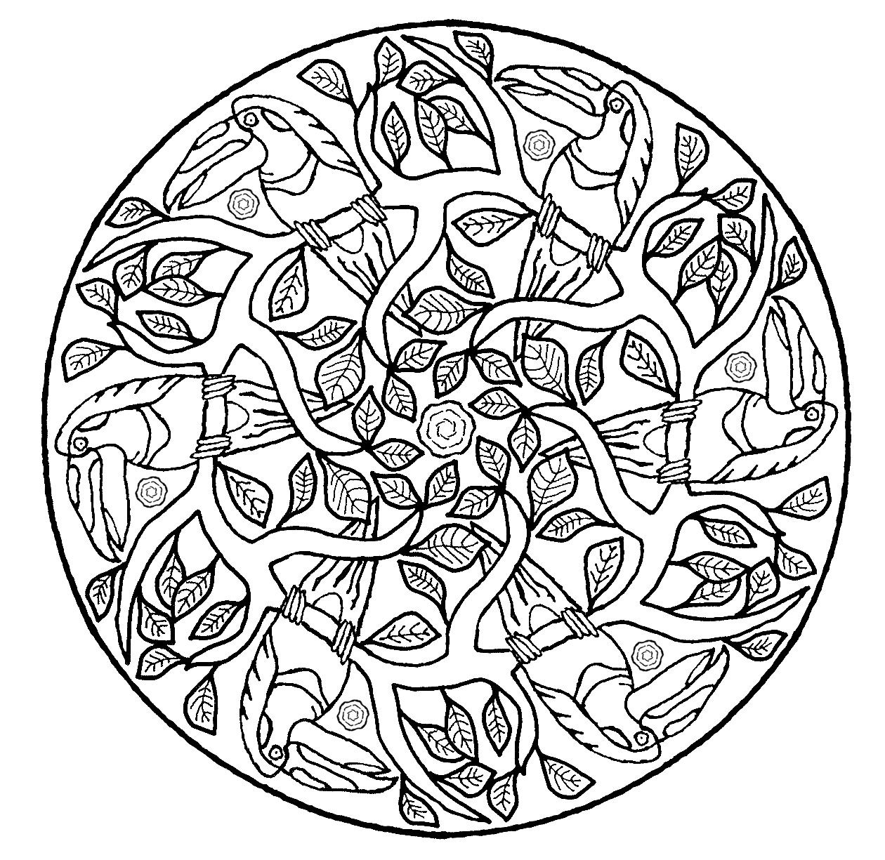 Perroquets Et Feuilles A Partir De La Galerie Mandalas 1260x1225 Perroquets Et Feuilles A Partir De La Galerie Mandalas