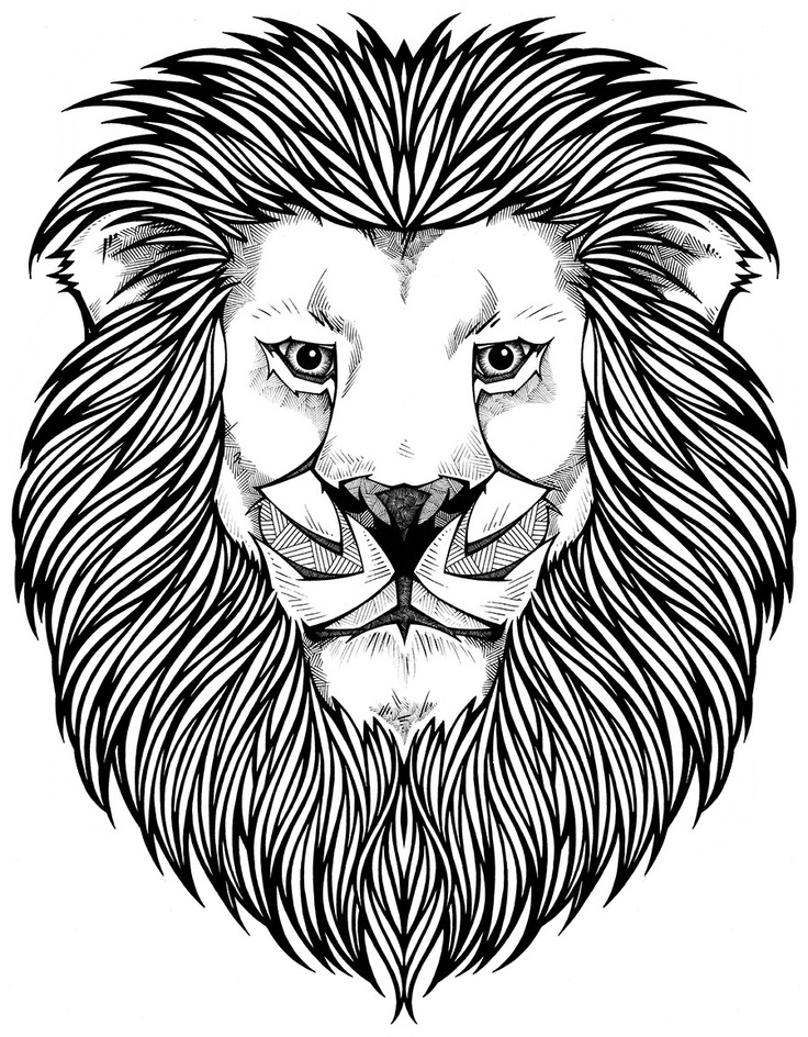 Best 25 Lion Coloring Pages Ideas On Mandala Lion Lion 736x944 Best 25 Lion Coloring Pages Ideas On Mandala Lion Lion
