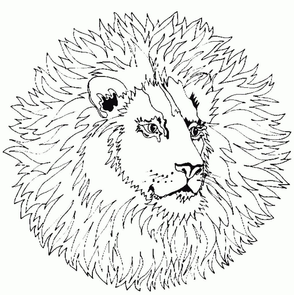 Astonishing Printable Mandala Coloring Pages For Kids Picture 1020x1024 Astonishing Printable Mandala Coloring Pages For Kids Picture