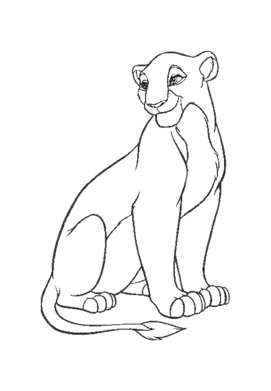 900x1295 Fresh Lion Page To Color Design Printable Coloring Sheet