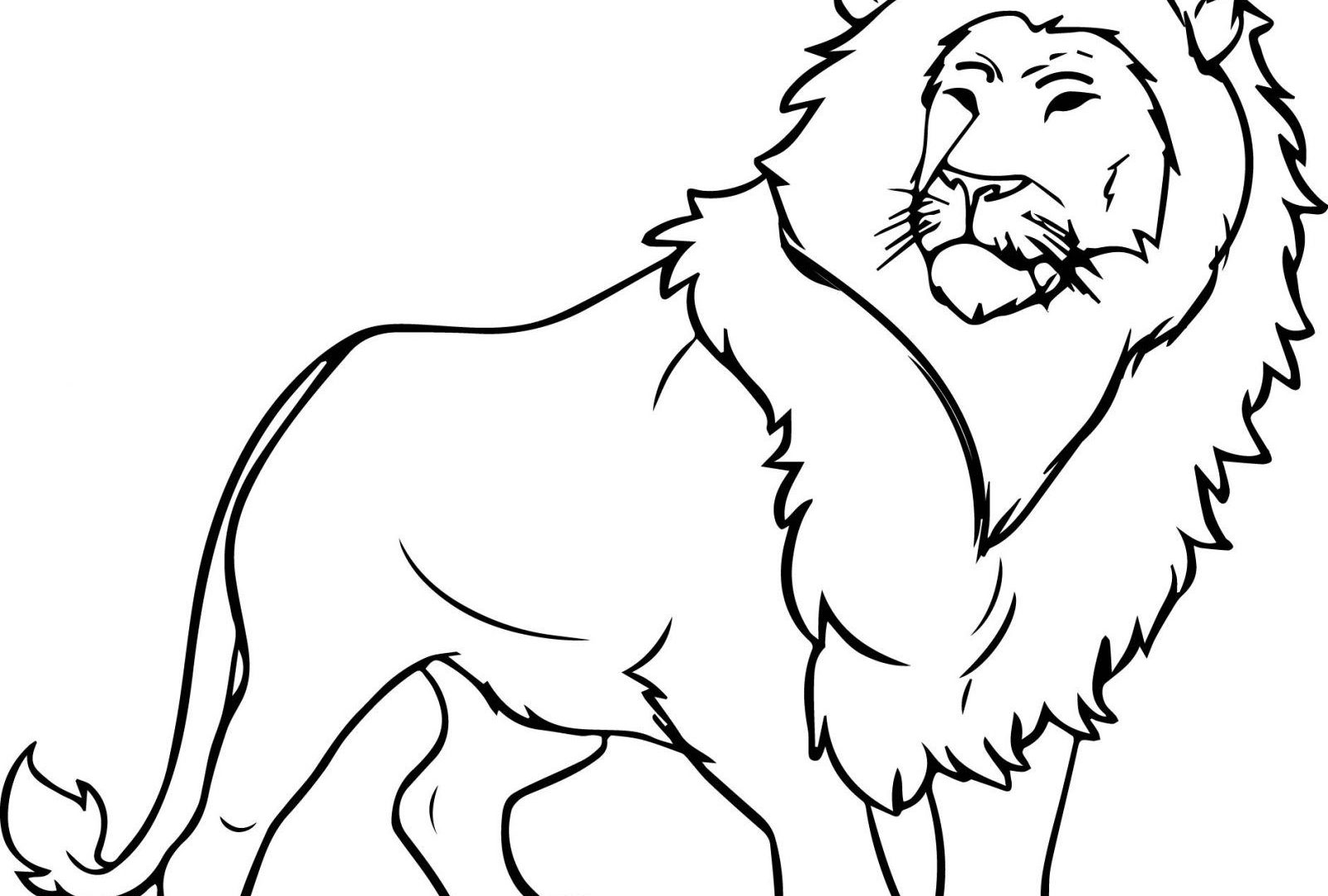 1600x1080 Impressive Coloring Page Lion Free Pages To Color Book Blank Sheet