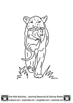 236x331 Lion Coloring Sheets Of Lioness With Cub Bycub Lion Coloring Pages