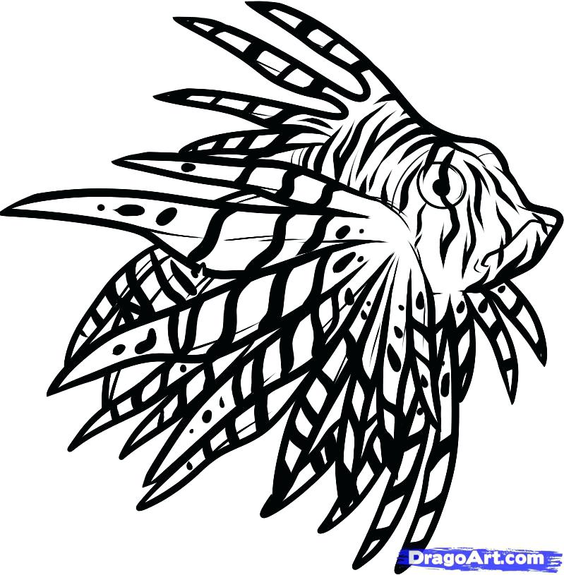 799x815 Lionfish Coloring Page Coloring Page Mermaid Coloring Pages