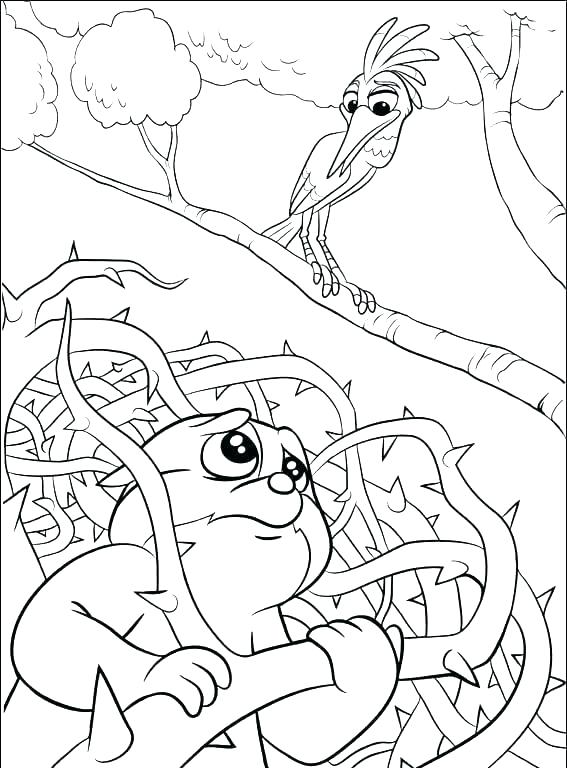 567x768 Lions Coloring Pages Male Lion Coloring Page Lions Football Lions