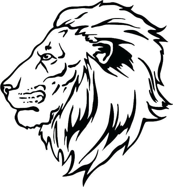 555x600 Coloring Pages Of Lions Coloring Pages Lions Lion Head Coloring