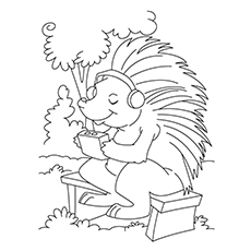 230x230 Top 10 Free Printable Porcupine Coloring Pages Online