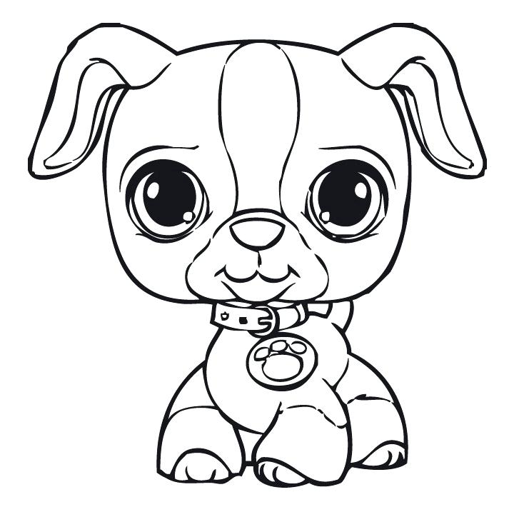 727x731 Littlest Pet Shop Coloring Pages Free Littlest Pet Shop Coloring