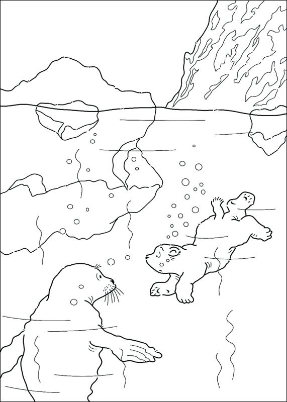 Color Pages Polar Bears The Little Bear Coloring That Page 571x800 Color Pages Polar Bears The Little Bear Coloring That Page