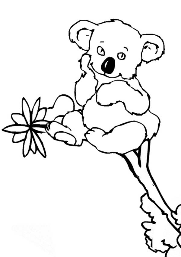 Cute Little Koala Bear Coloring Page Color Luna 600x850 Cute Little Koala Bear Coloring Page Color Luna