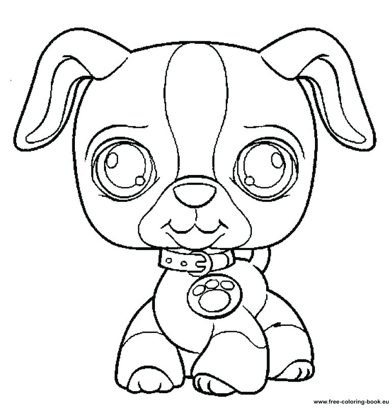 769x800 Lps Coloring Pages 8 Pics Of Cat Coloring Pages Littlest Pet Shop
