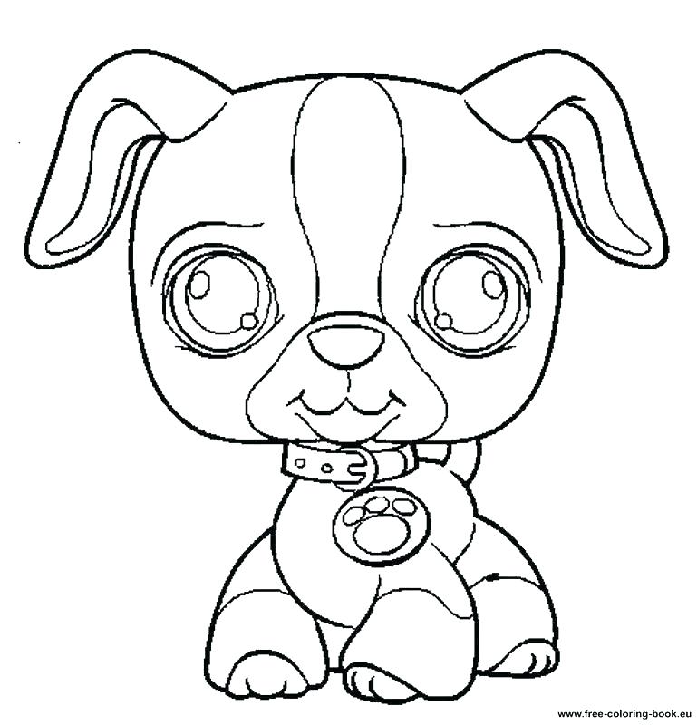 769x800 Littlest Pet Shop Coloring Pages Blythe Littlest Pet Shop Coloring