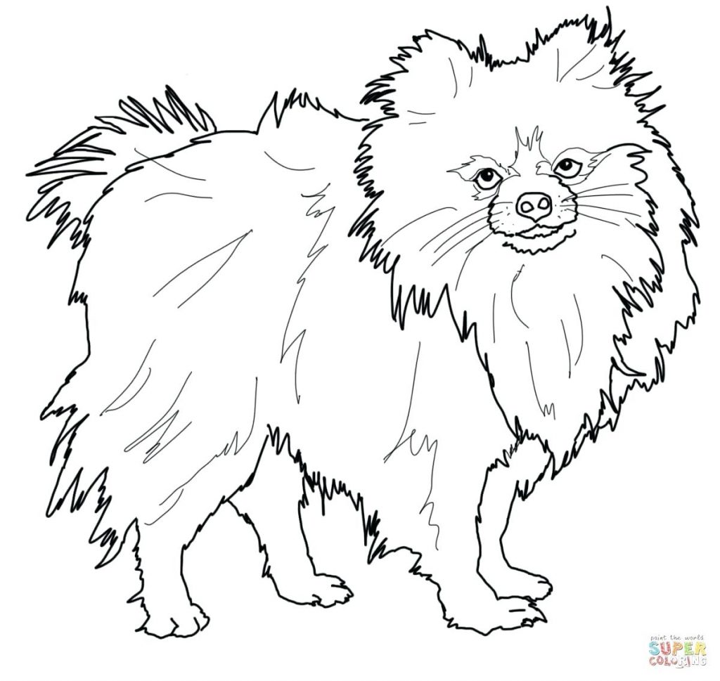 1024x969 Coloring Pages ~ Pet Coloring Pages Dog Animal Page Cute Littlest