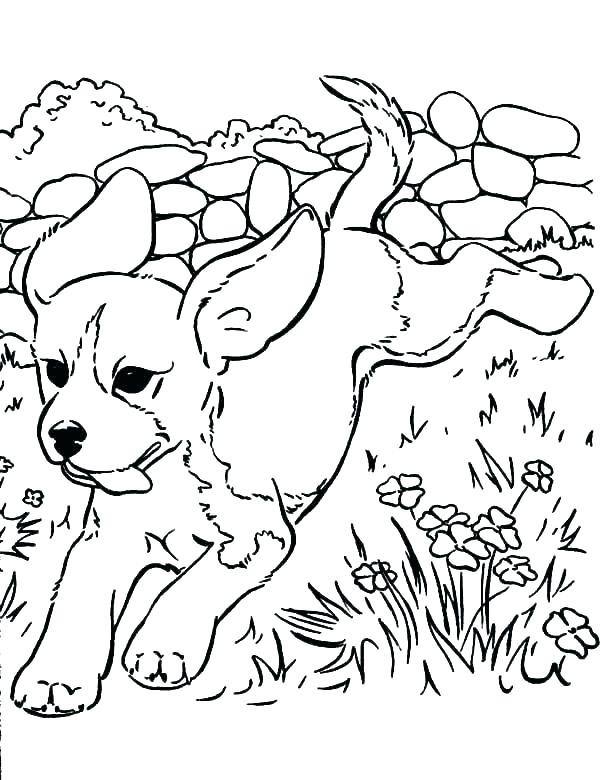 600x780 Doggy Coloring Pages Littlest Pet Shop Coloring Pages Dog Puppy