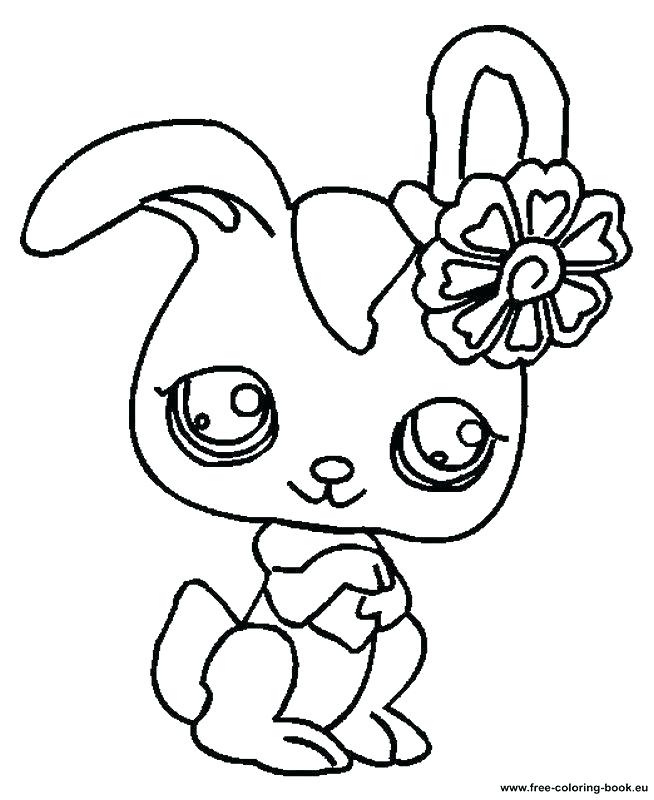 654x800 Littlest Pet Shop Coloring Pages To Print Top Coloring Pages Print