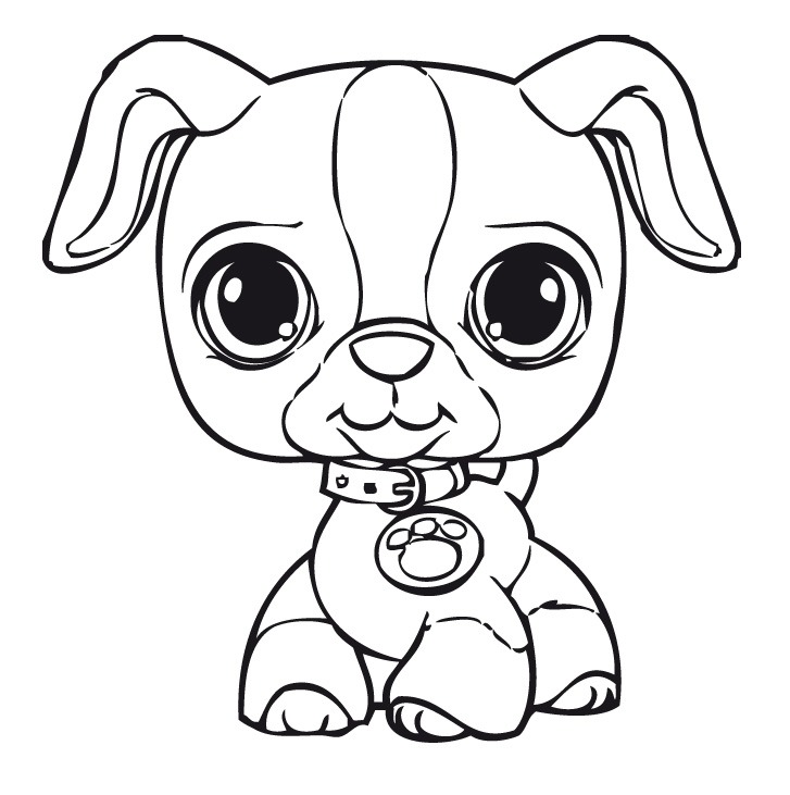 727x731 Littlest Pet Shop Coloring Pages For Kids