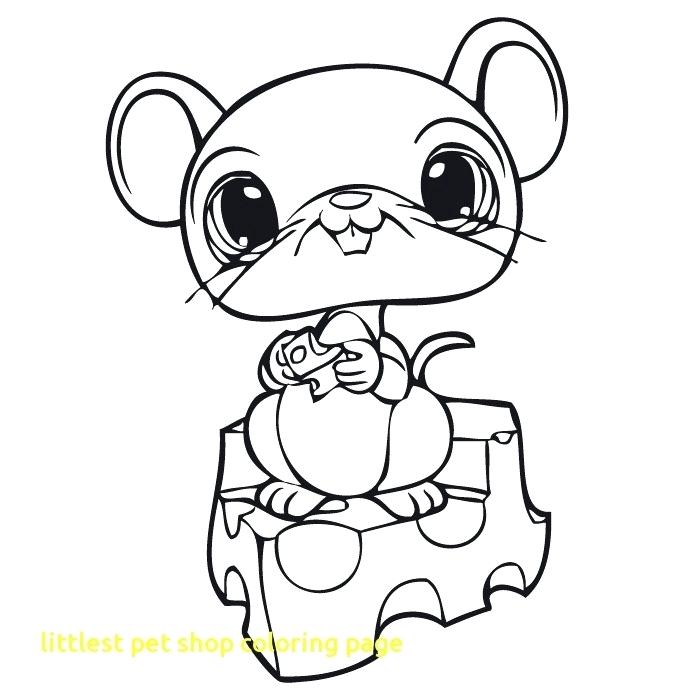 Littlest Pet Shop Coloring Page Littlest Pet Shop Free Coloring 674x700 Littlest Pet Shop Coloring Page Littlest Pet Shop Free Coloring