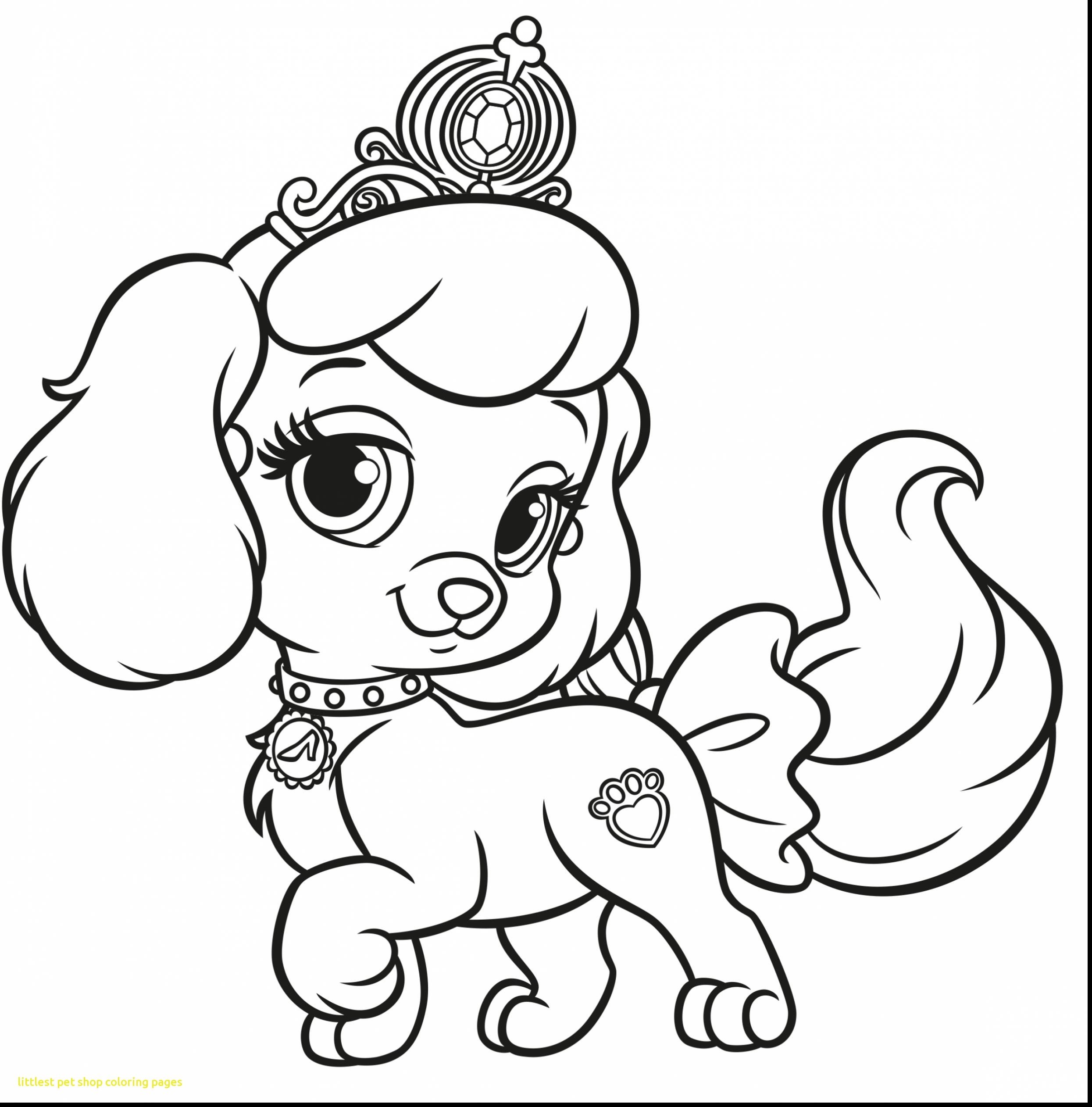 Littlest Pet Shops Coloring Page For My Kids Collection 2490x2524 Littlest Pet Shops Coloring Page For My Kids Collection