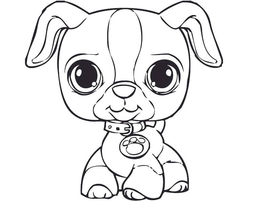 900x700 Littlest Pet Shop Coloring Pages For Kids To Print For Free