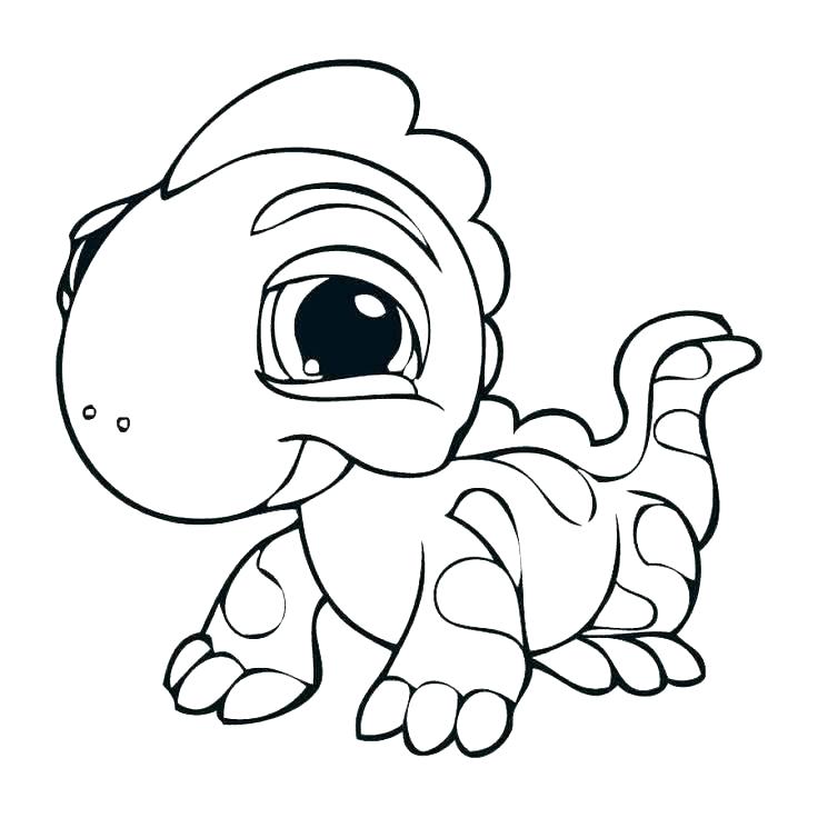 736x736 Lizard Coloring Page Lizard Coloring Pages Lizard Animal Coloring