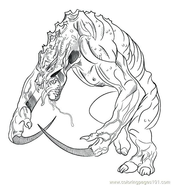 600x649 Lizard Coloring Pages Coloring Page Lizard Coloring Pages Free