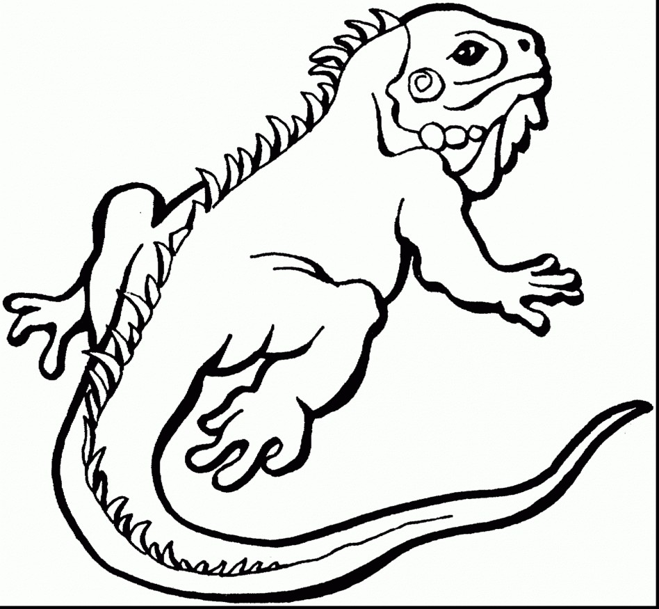 948x875 Frilled Lizard Coloring Pages New Lizard Coloring Pages