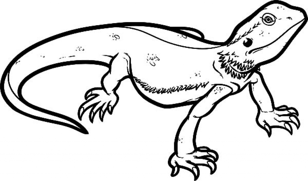 Lizard Coloring Pages For Kids at GetColorings.com | Free printable ...