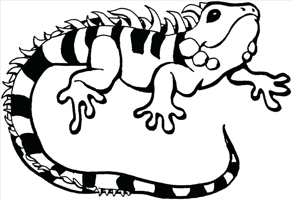Lizard Coloring Pages Lizard Coloring Lizard Coloring Pages 1024x704 Lizard Coloring Pages Lizard Coloring Lizard Coloring Pages