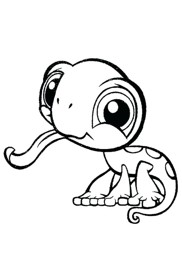 Lizards Coloring Pages Stunning Design Lizard Animal Coloring 600x840 Lizards Coloring Pages Stunning Design Lizard Animal Coloring