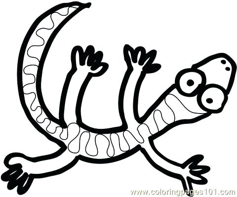 Coloring Pages Of Lizards 480x399 Coloring Pages Of Lizards