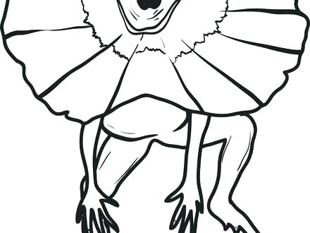 Lizard Coloring Book Unique Lizards Coloring Pages Kids Lizard Two 440x330 Lizard Coloring Book Unique Lizards Coloring Pages Kids Lizard Two