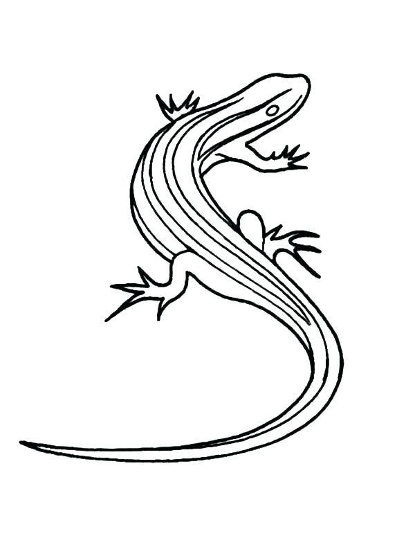 Lizard Man Colouring Pages Reptile Coloring Page Thick Lined 600x777 Lizard Man Colouring Pages Reptile Coloring Page Thick Lined