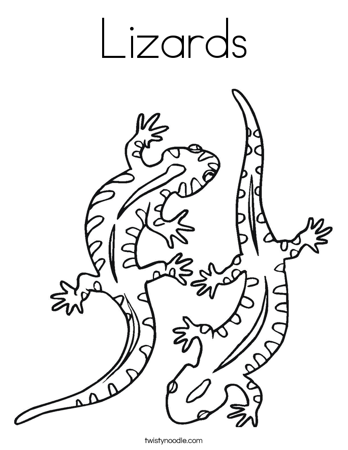 Lizards Coloring Page 685x886 Lizards Coloring Page