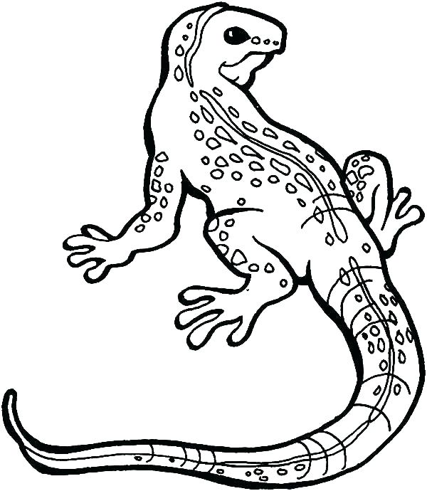 Spiderman The Lizard Coloring Pages Vanda 600x690 Spiderman The Lizard Coloring Pages Vanda