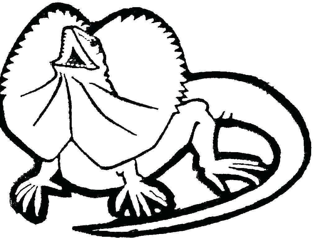 Horned Lizard Coloring Page Coloring Home Horned Lizard Coloring 1024x765 Horned Lizard Coloring Page Coloring Home Horned Lizard Coloring