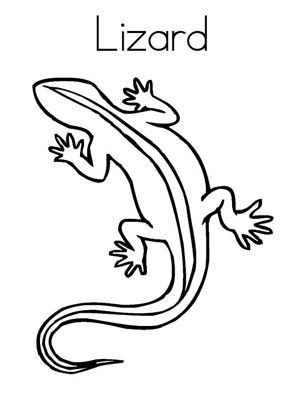 L Is For Lizard Coloring Pages 600x776 L Is For Lizard Coloring Pages