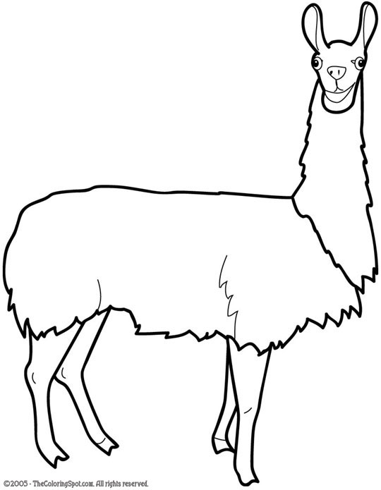 540x695 Llama Audio Stories For Kids Amp Free Coloring Pages From Light Up