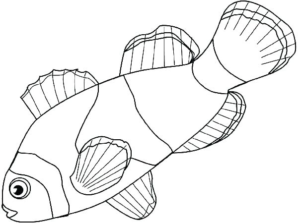 Lobster Coloring Page at GetColorings.com | Free printable colorings ...