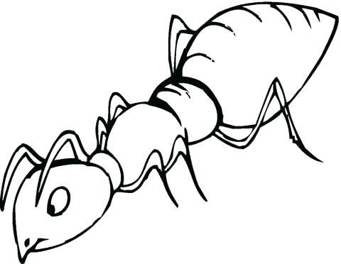 480x372 Ants Coloring Pages Ant Coloring Page Free Printable Bible