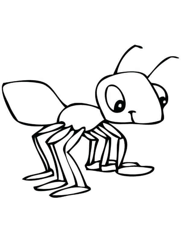 600x800 Ants Coloring Pages Ants Coloring Pages Meat Eater Ant Grasshopper