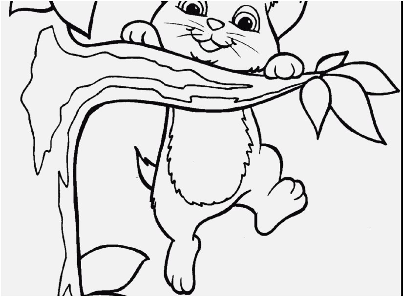 Lol Doll Coloring Pages Photo New Baby Kittens Coloring Pages 827x609 Lol Doll Coloring Pages Photo New Baby Kittens Coloring Pages