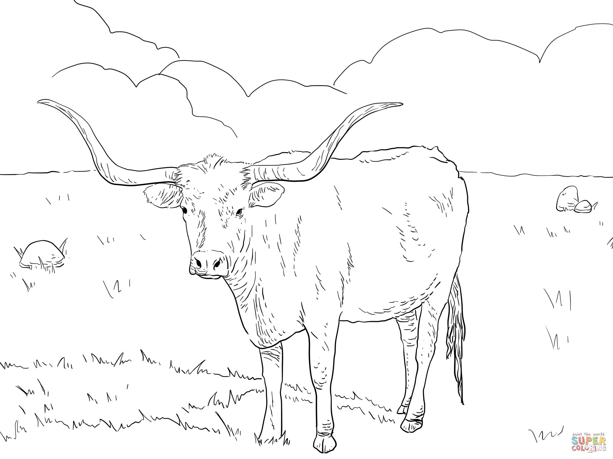 Texas Longhorn Cow Coloring Page Free Printable Coloring Pages 2048x1536 Texas Longhorn Cow Coloring Page Free Printable Coloring Pages