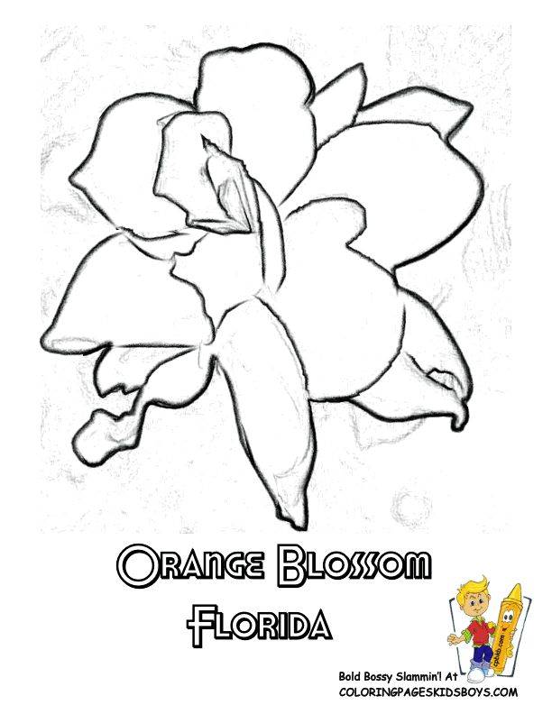 612x792 Quapaw Coloring Pages For Kids