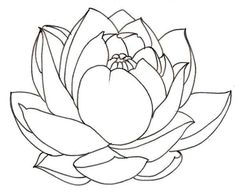 236x196 Free Printable Lotus Coloring Pages For Kids Lotus Flower, Lotus