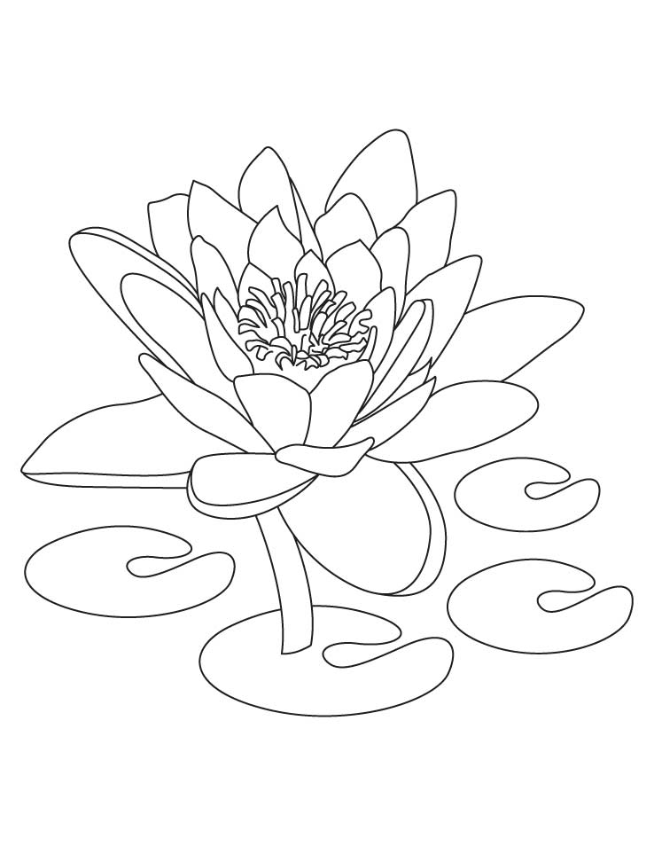 738x954 Free Printable Lotus Coloring Pages For Kids