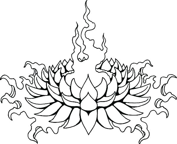 Free Printable Lotus Coloring Pages Coloring Pages