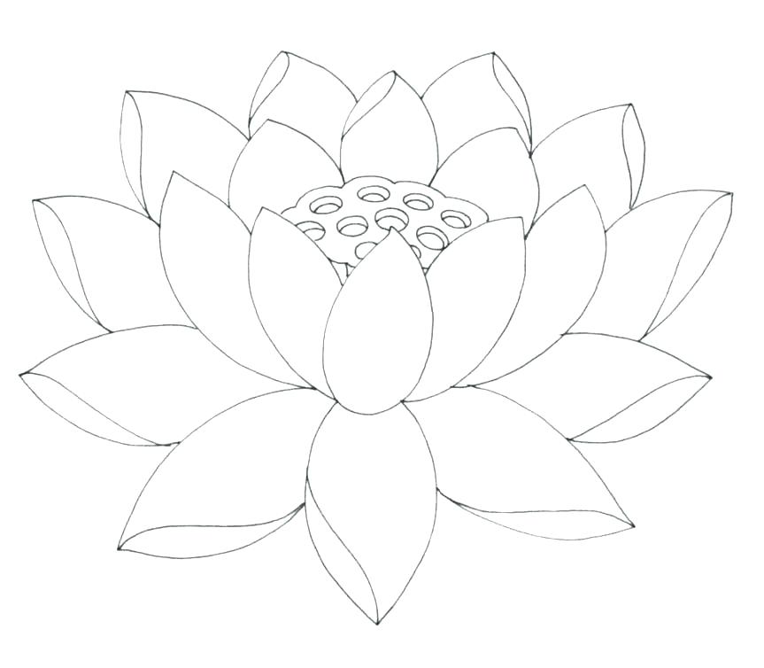 Flower Coloring Pictures Printable Free Printable Coloring Pages 863x754 Flower Coloring Pictures Printable Free Printable Coloring Pages