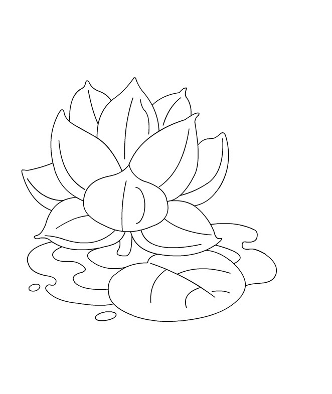 Free Printable Lotus Coloring Pages For Kids 662x786 Free Printable Lotus Coloring Pages For Kids