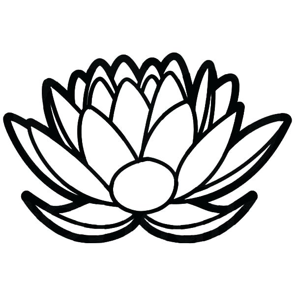 Ideas Lotus Flower Coloring Page And Lotus Flower Floral Design 600x627 Ideas Lotus Flower Coloring Page And Lotus Flower Floral Design